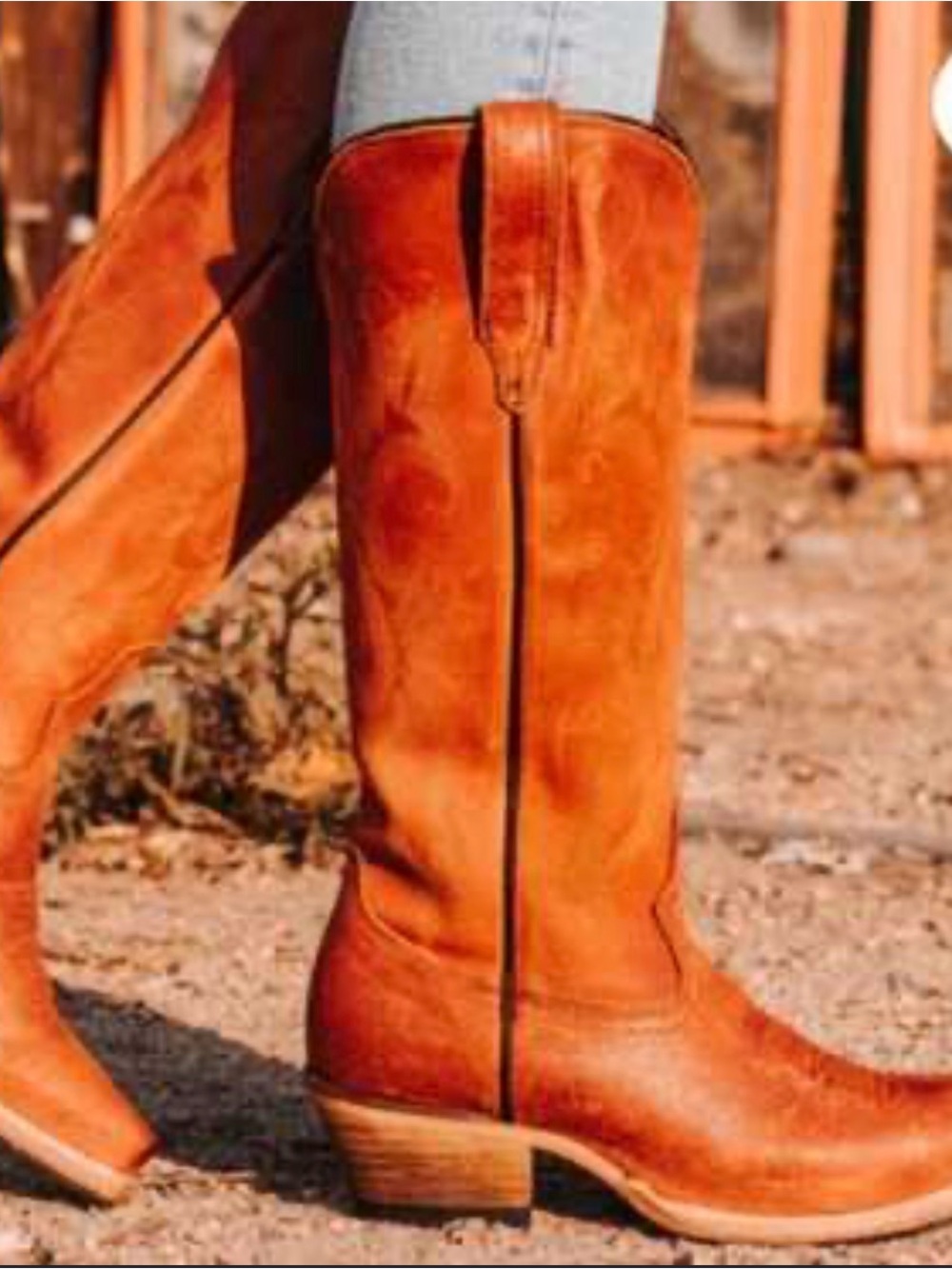 freebird Tall Western Boots - Tan